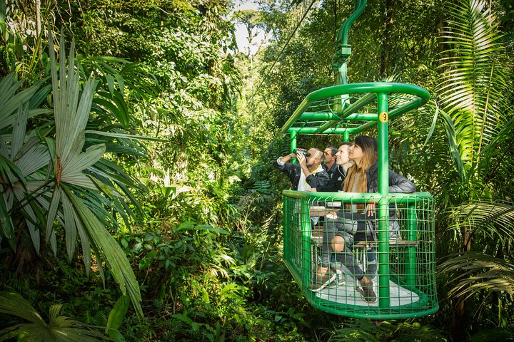 Rain Forest Aerial Tram & Nature Walk. Private Tour from San Jose